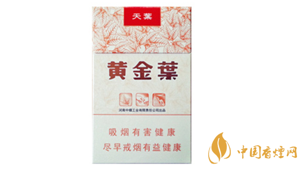 黃金葉天葉真?zhèn)卧趺幢鎰e？天葉真假如何看？
